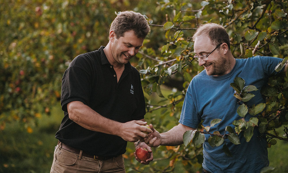 apple_orchard_darts_farm_devon_1000x600