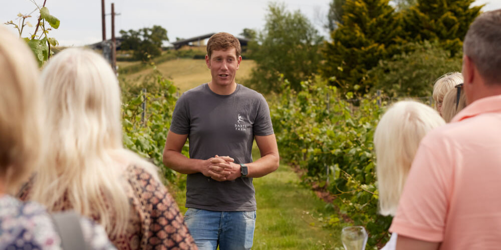 Pebblebed Vineyards Tours | 2025 Season