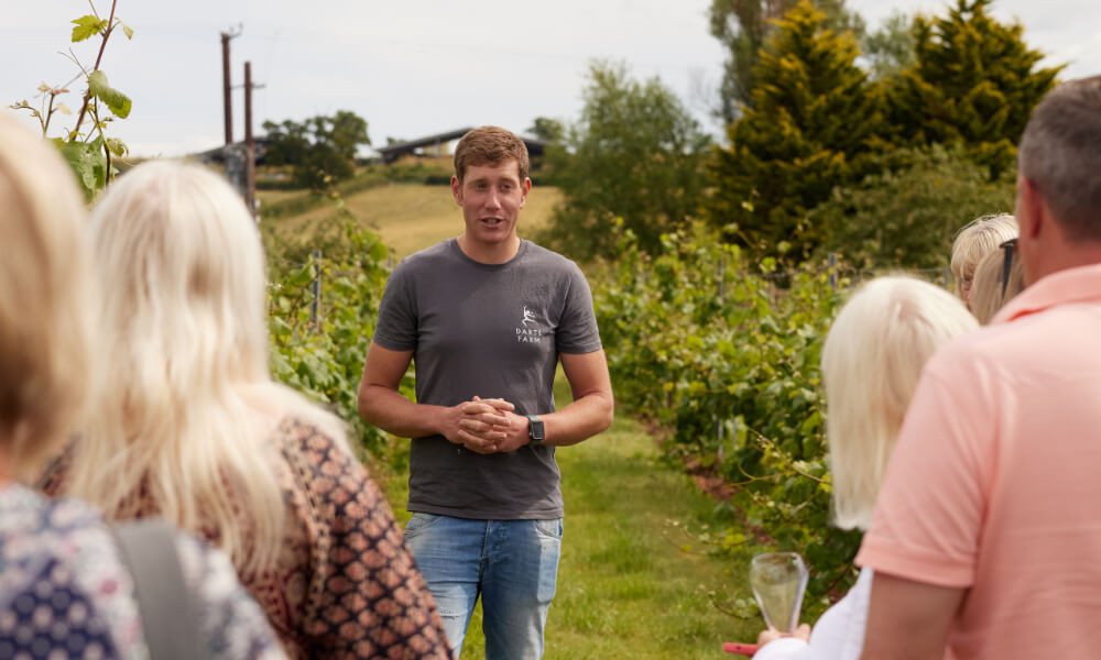 Pebblebed Vineyards Tours | 2025 Season