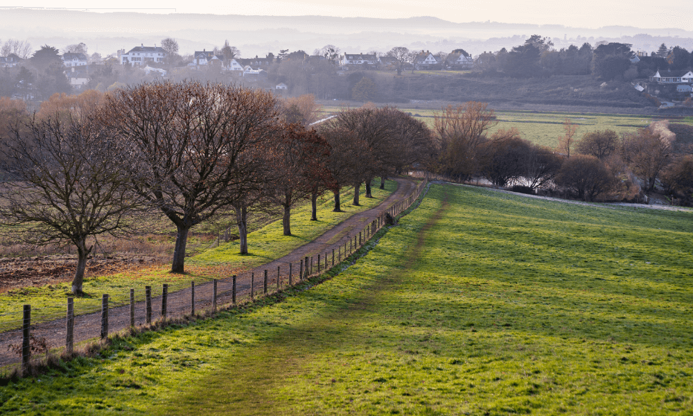 Farm_Walk_1000x600