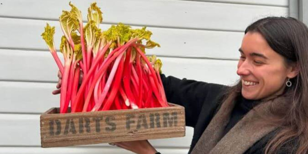 Seasonal Spotlight: Forced Yorkshire Rhubarb