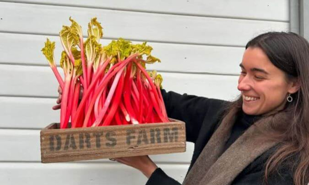 Seasonal Spotlight: Forced Yorkshire Rhubarb